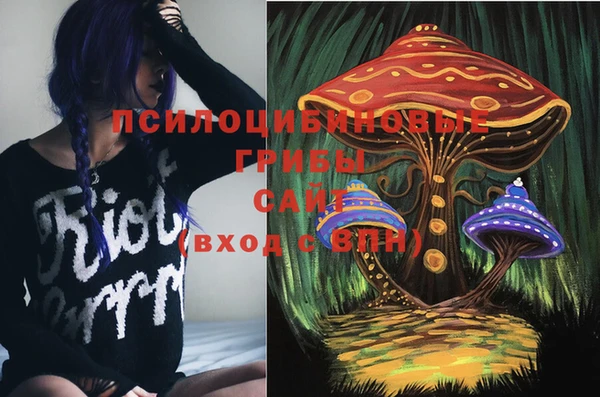 Альфа ПВП Пестово