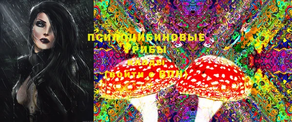 прущий лед Пересвет