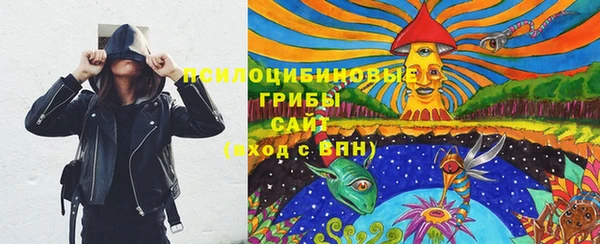 прущий лед Пересвет